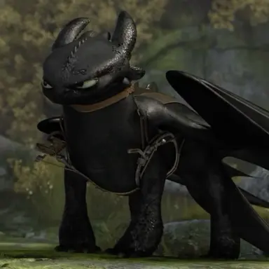 Profile image of Toothless