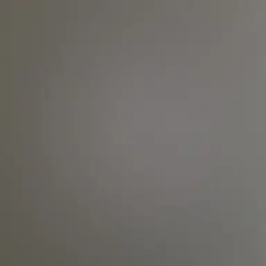 Profile image of 한국인