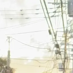 Profile image of ファントム