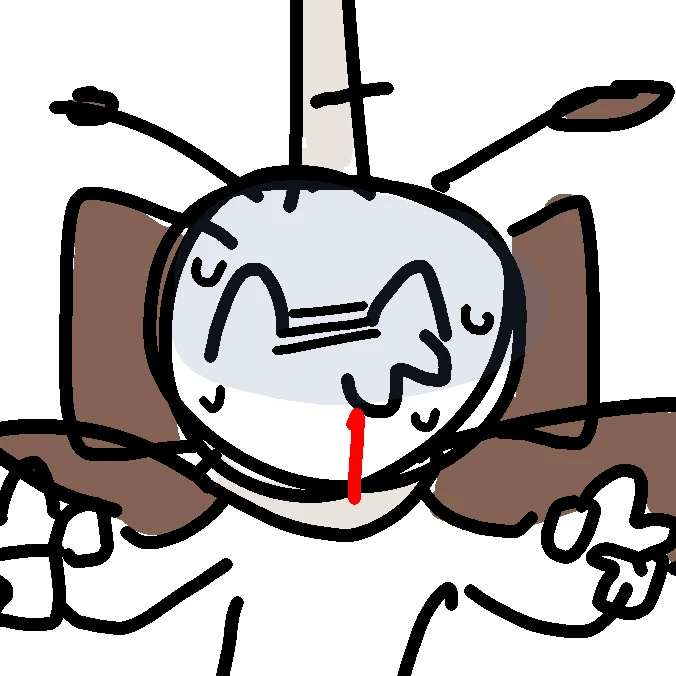꽁고
