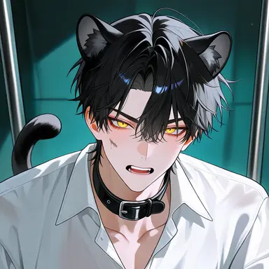 Profile image of コウガ