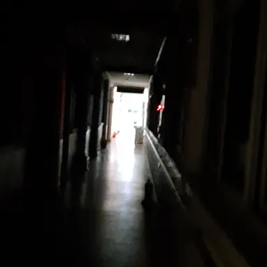 Profile image of 아쿠타가와 류노스케