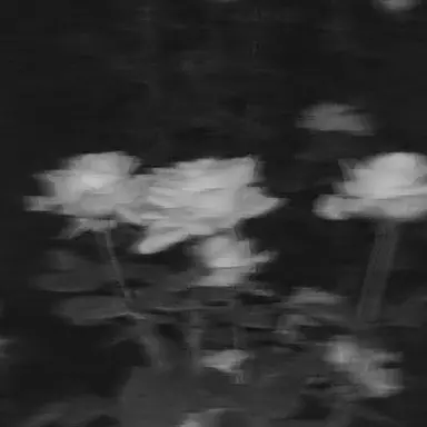 Profile image of 우재