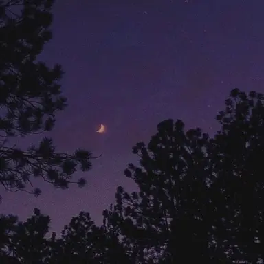 Profile image of 필립