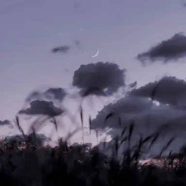 Profile image of 수현