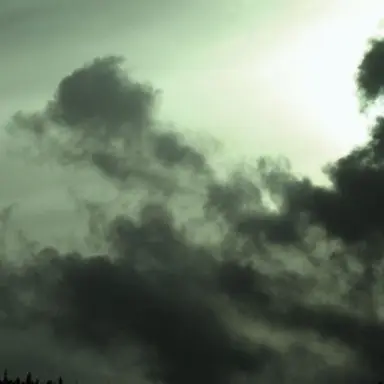 Profile image of 하율