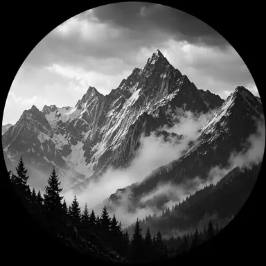 Profile image of Quinn