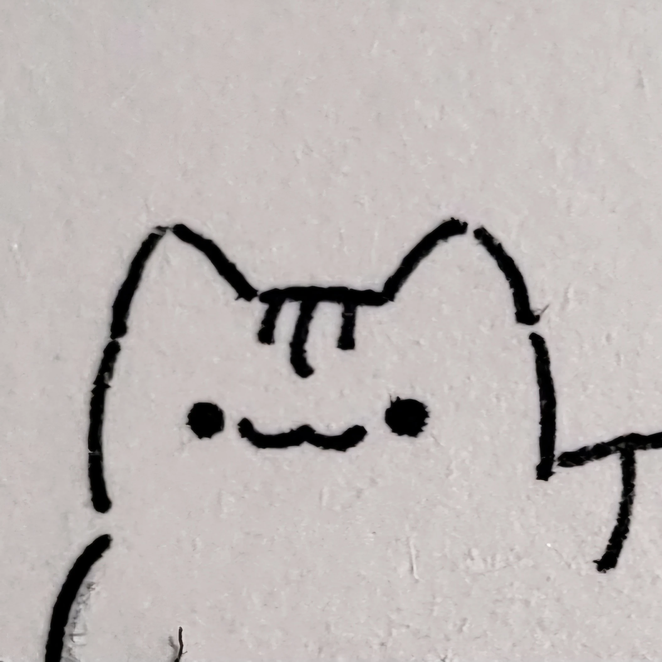 큑냥이