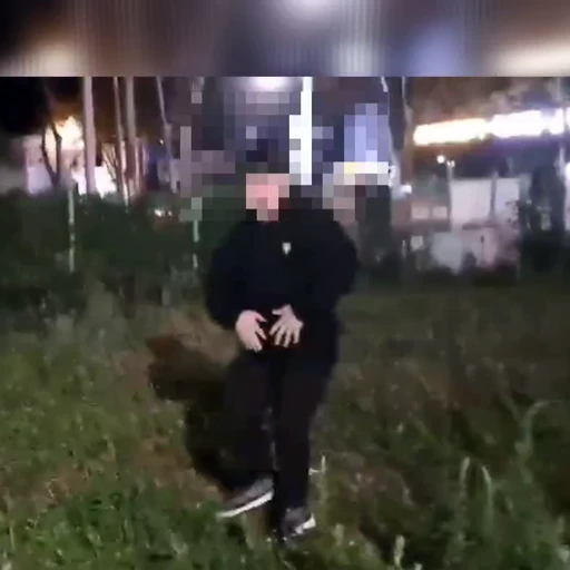 사족보행