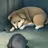 のの