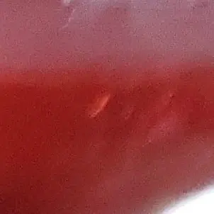 Profile image of 佐野 勇斗