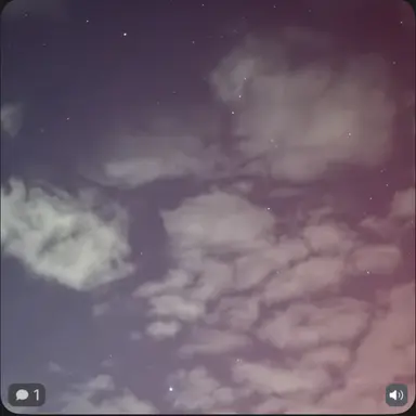 Profile image of 양아치