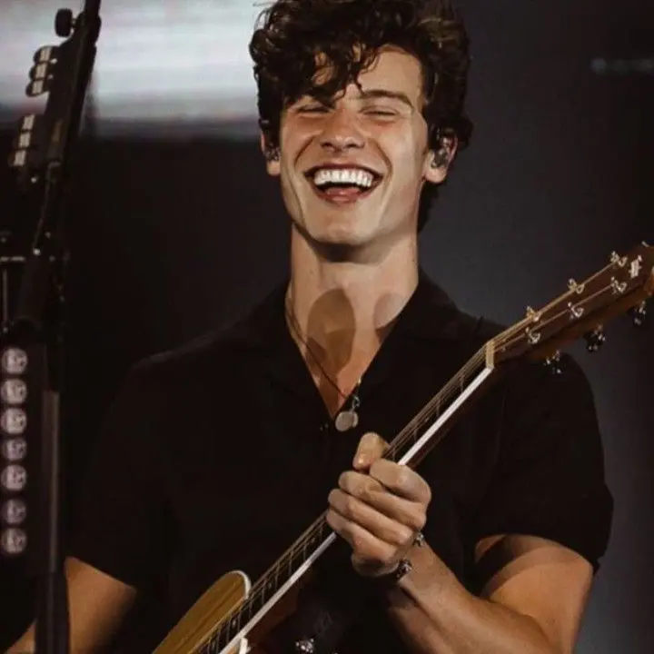 WaryPuma9199의 Shawn mendes