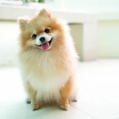 Profile image of 目黒