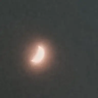 Profile image of 준브