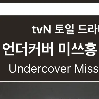 HXNOVA의 언더커버 미쓰홍