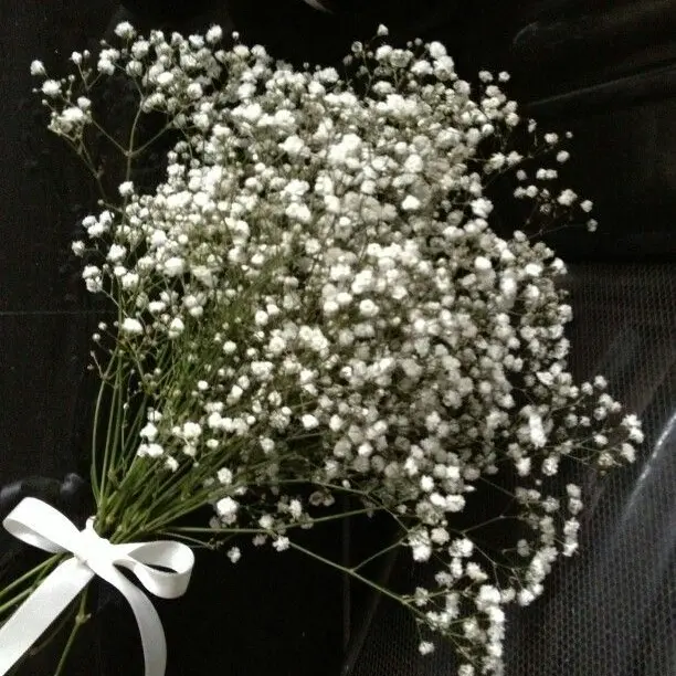 NOZEeeeee의 노지혜