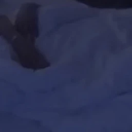 れい
