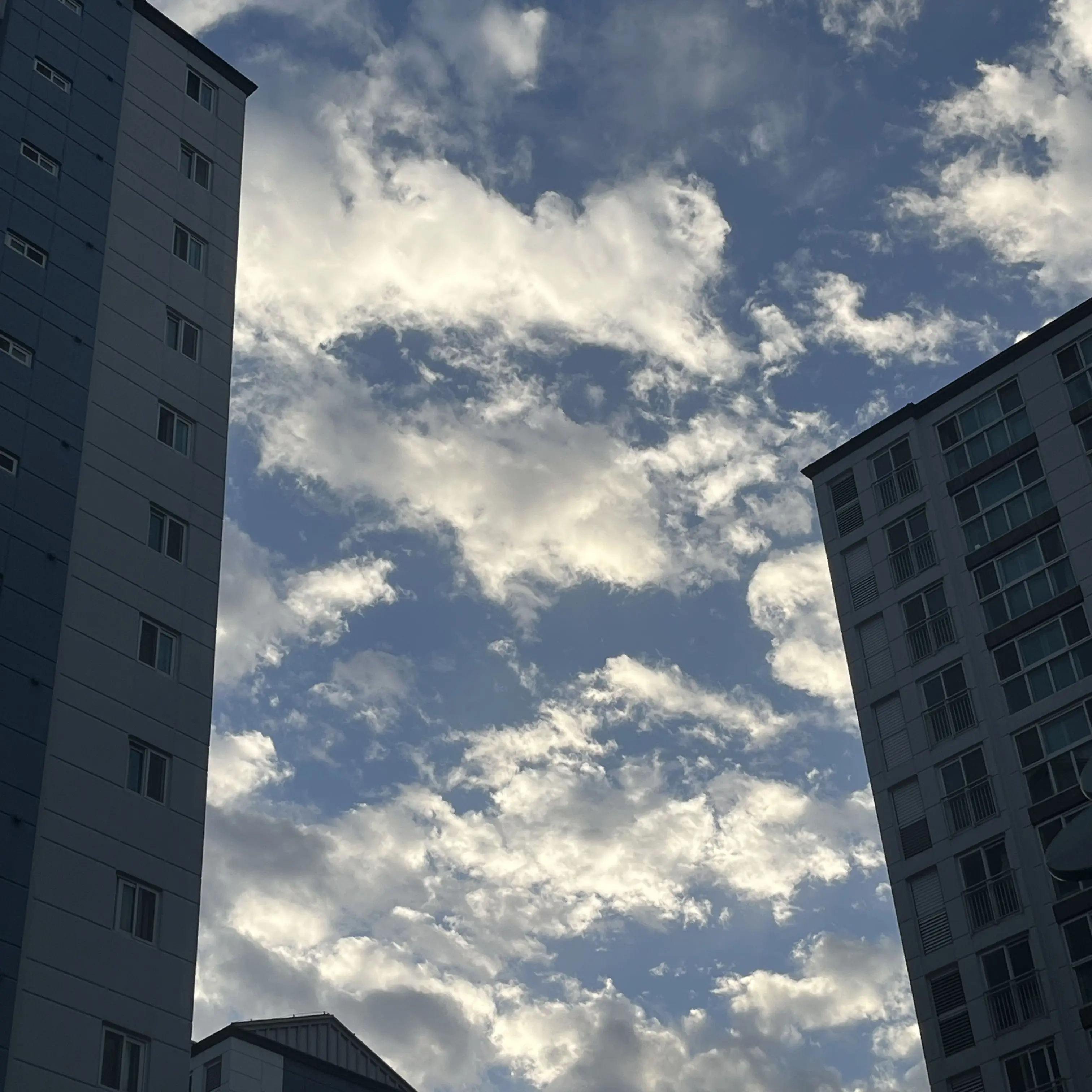 BlueCrib4460의 개인용