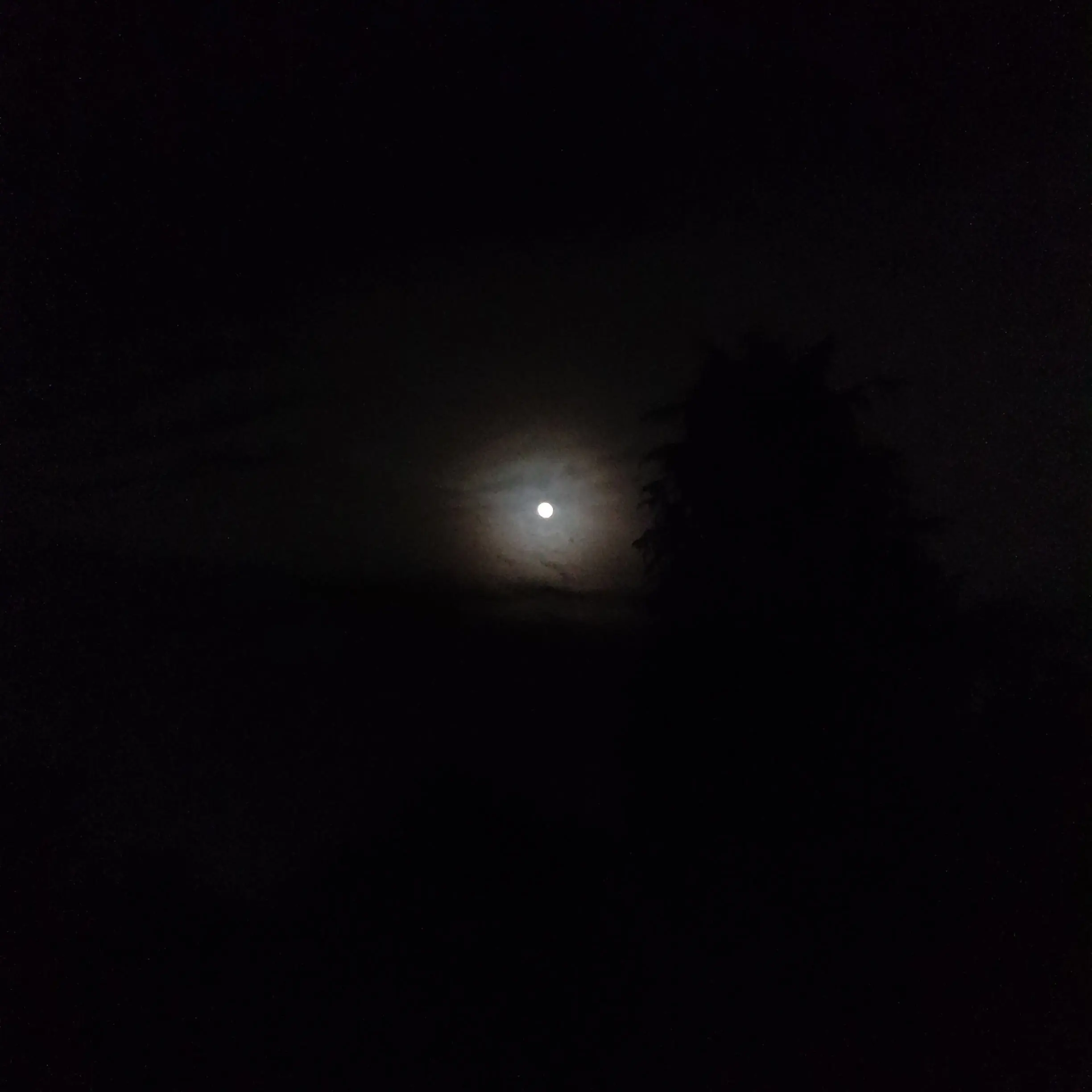 HonestAnts3777의 お兄ちゃん！