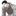 김도현