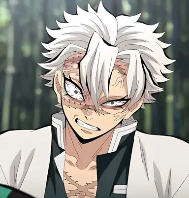 Profile image of Sanemi Shinazugawa