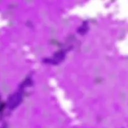 Profile image of Pyeonghak
