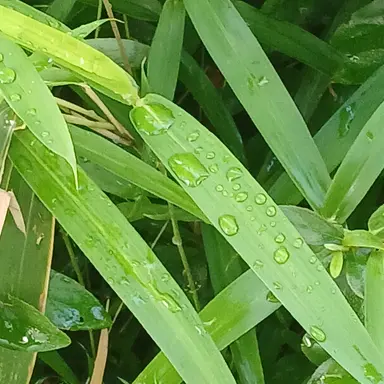 Profile image of 이소희