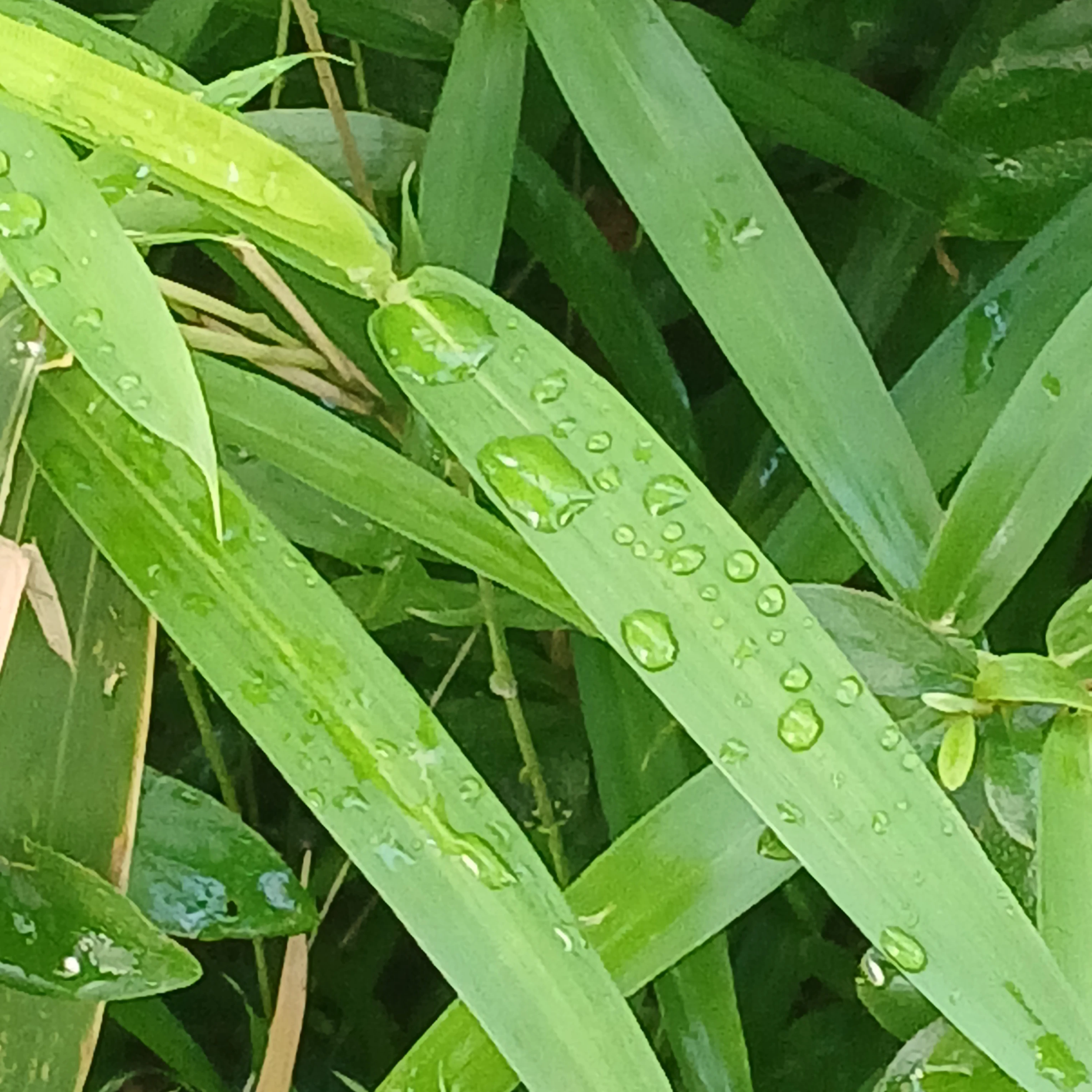 이소희