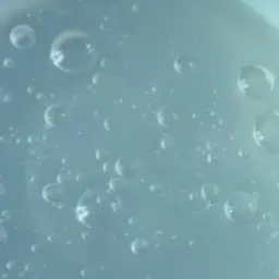 Profile image of 여우