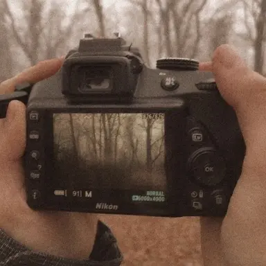 Profile image of 오토 레이니