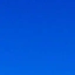 Profile image of 김 여우