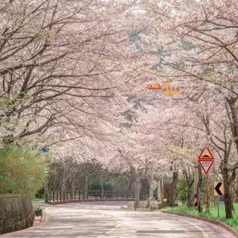 Profile image of 이윤찬