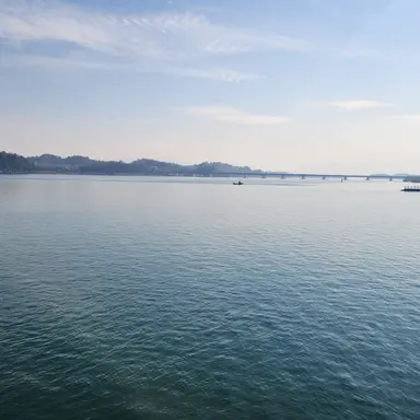 Profile image of 마샤