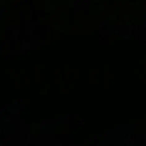 2000.6.6의 ­