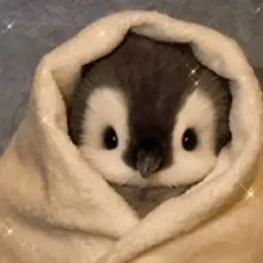 Profile image of 설닝