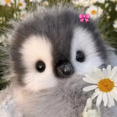 Profile image of 포됴