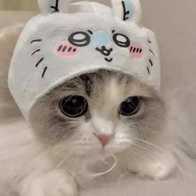 Profile image of 芳雄