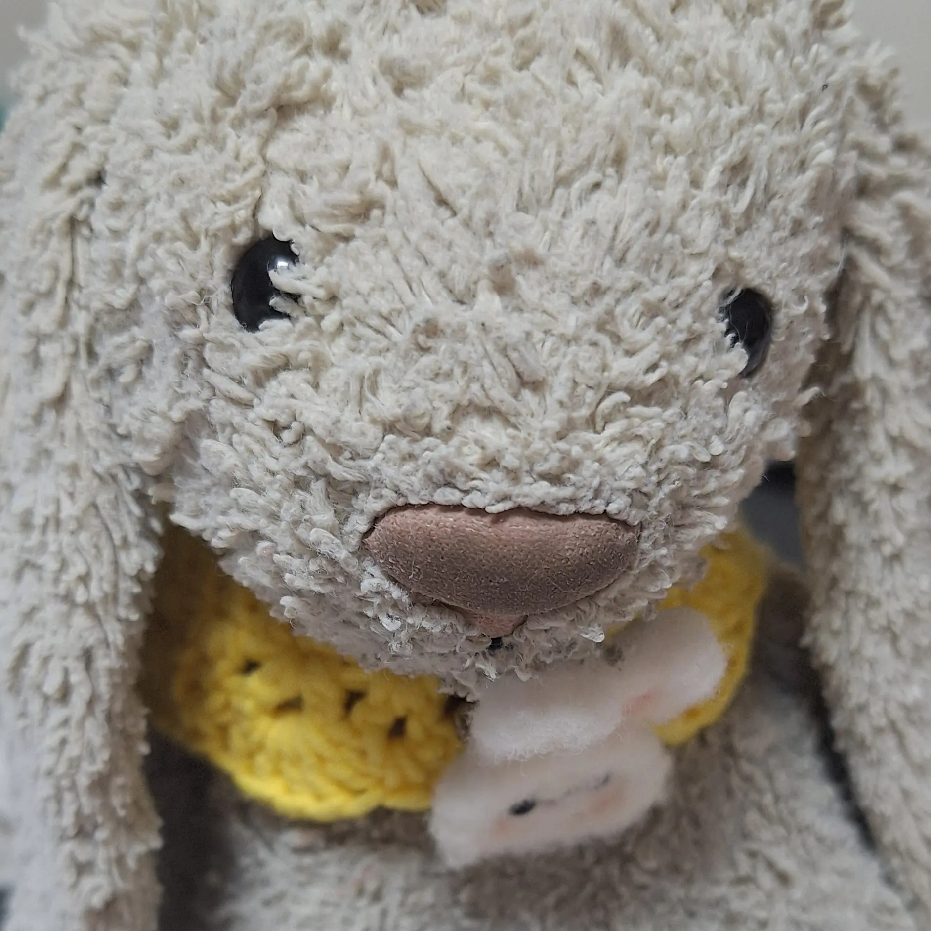 Seo_min의 토토를 키우세요