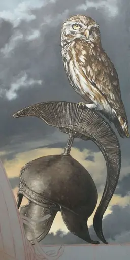 Profile image of Athena