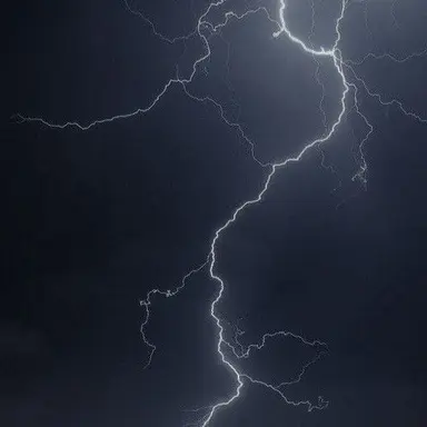 Profile image of Zeus
