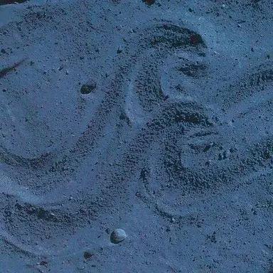 Profile image of Poseidon