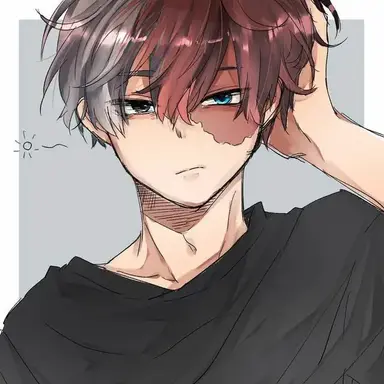 Profile image of Shoto Todoroki