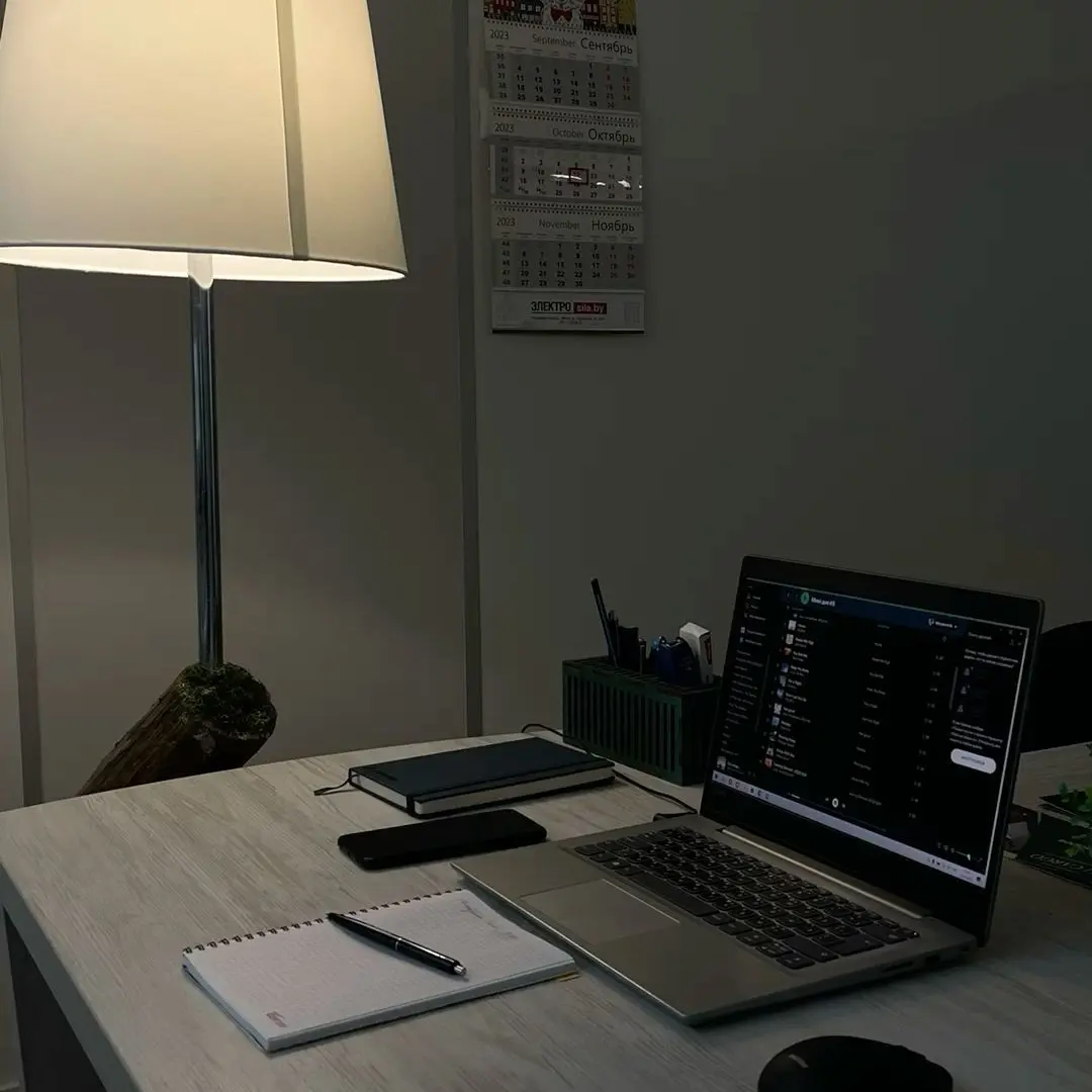 MuteCurry9694의 ゴヌ