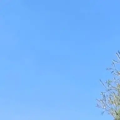Profile image of 하은결