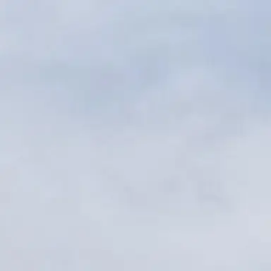 Profile image of 한윤서