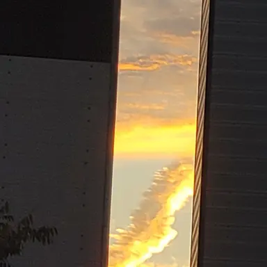 Profile image of 도하
