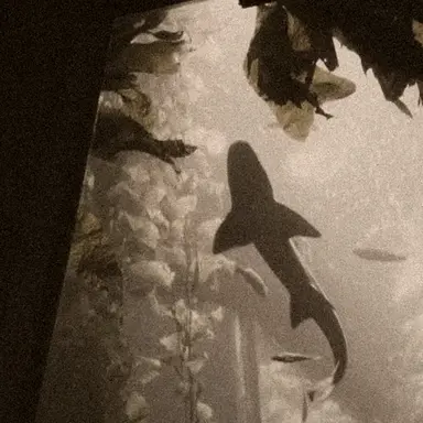 Profile image of 에드워드