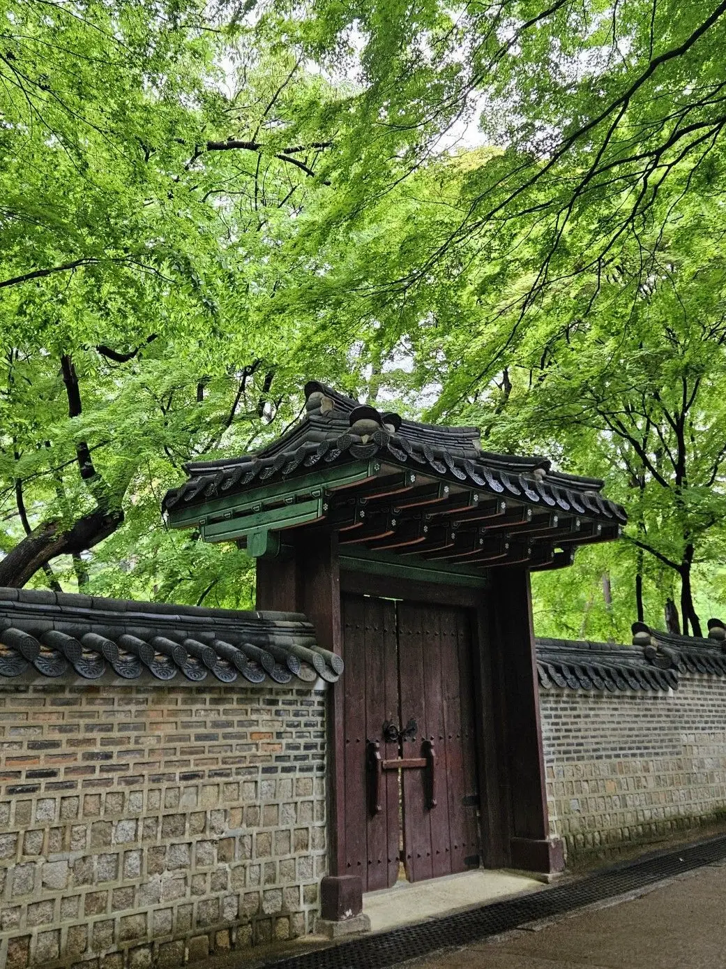 0529.jihoon.ig의 안수호