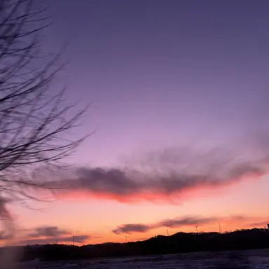 Profile image of 여우